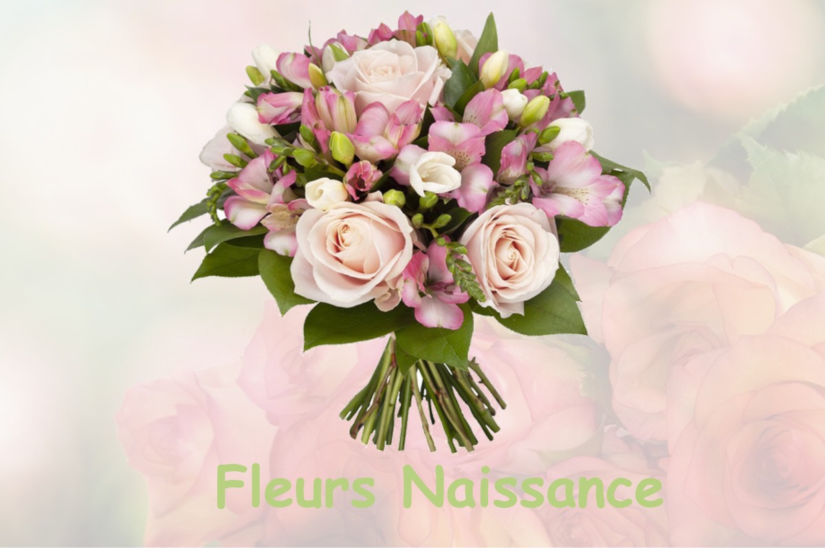 fleurs naissance SAINT-LAGER-BRESSAC